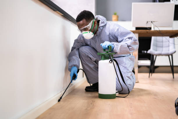 Best Real Estate Pest Inspections  in El Centro, CA